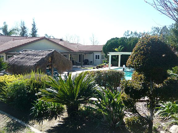 View from Backyard to house