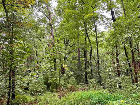 LOT 4B Briarwood Ln, Clayton, GA 30525