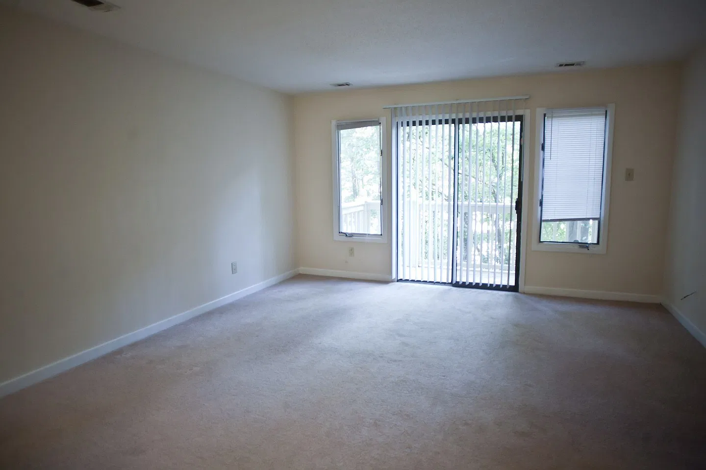 Wonderful 2BR garden apartment a few blocks from UNC — Photo 1