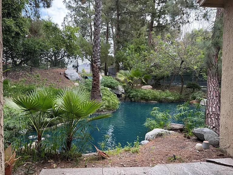 4900 E Chapman Ave #61 — Photo 13