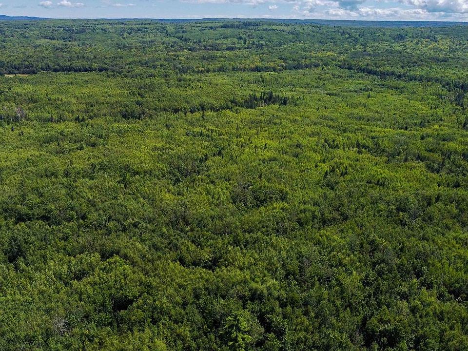 1st image of 40 Acres Near State Hwy 13