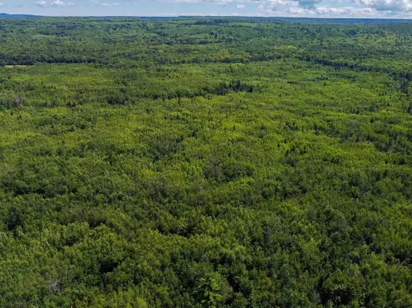 40 Acres Near State Hwy 13, CLOVER, WI 54844