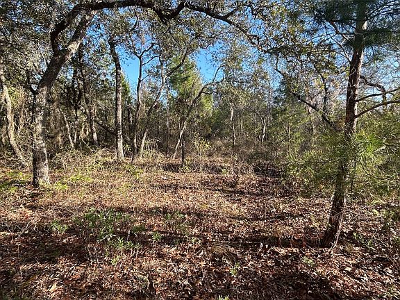 4th image of Xx Lake McKenzie Rd