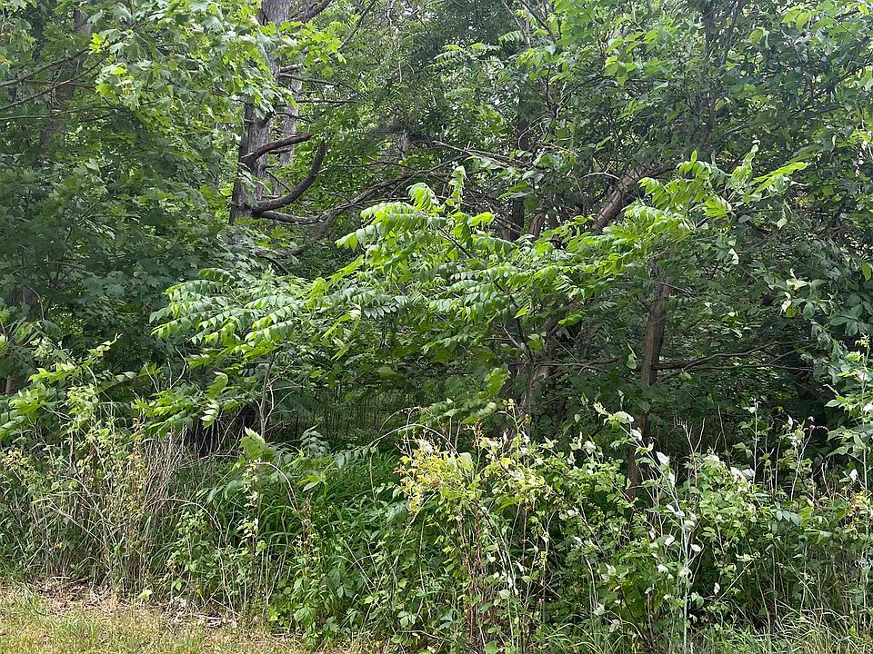 1st image of W Maple St