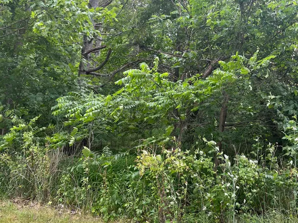 W Maple St, Saint Charles, MI 48655