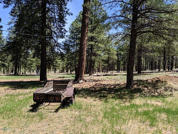 3rd image of 990 Old Munds Hwy