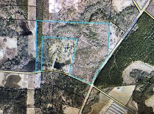 Lyons Center Rd, Lyons, GA 30436