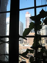 Rented by Segallis Real Estate