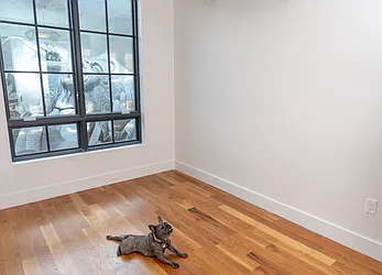 Rented by City Vista Inc