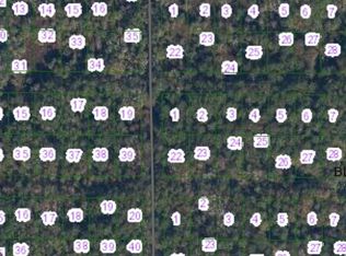Siesta Dr, Georgetown, FL 32139