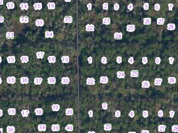 Siesta Dr, Georgetown, FL 32139