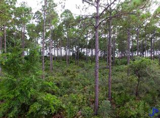 165 Lightning Bug Ln, St Teresa, FL 32358