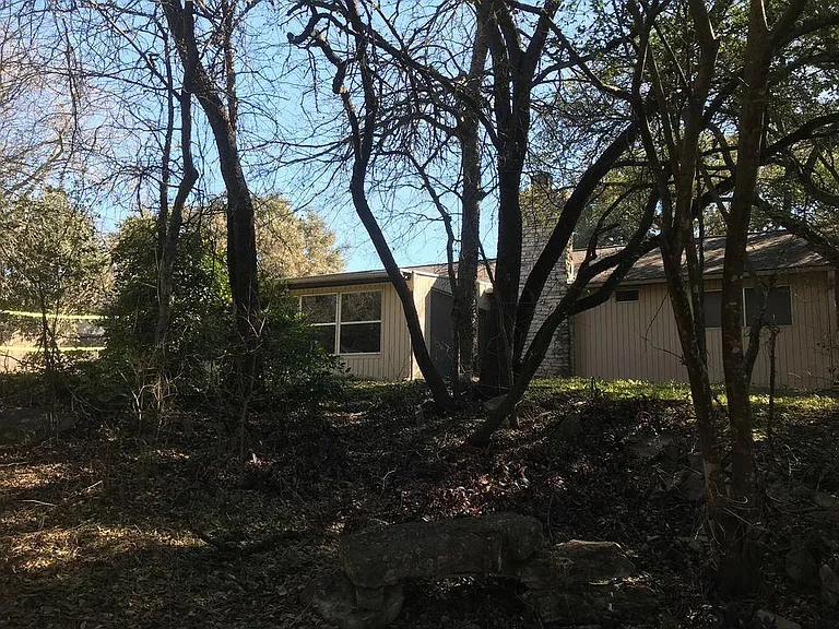 shaded backyard