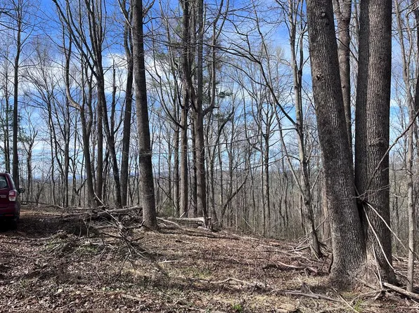 Calvary Way Rd, Laurel Fork, VA 24352