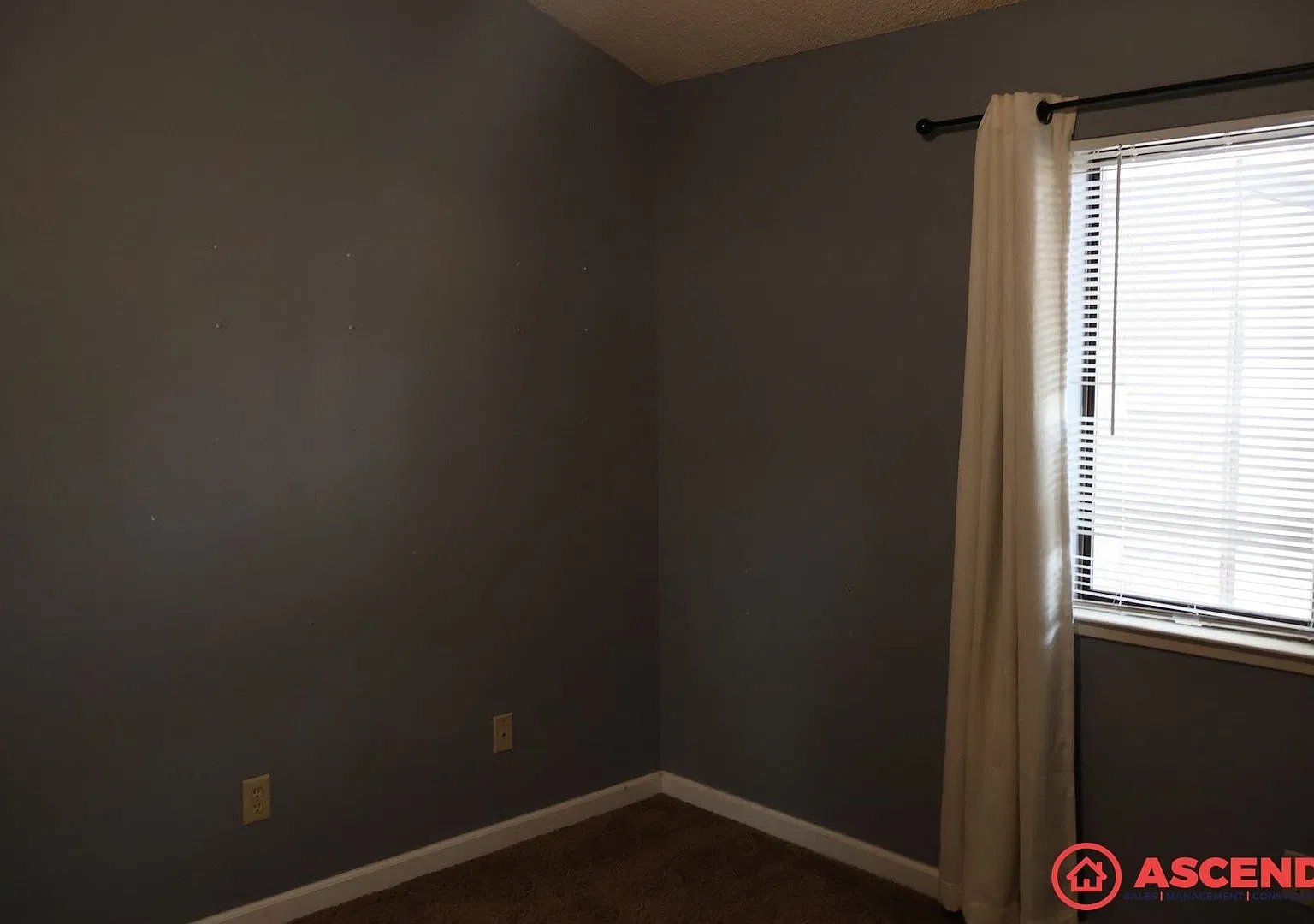 7800 Westfield Rd — Photo 4