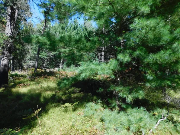 V/l Wakeley Bridge Rd, Grayling, MI 49738