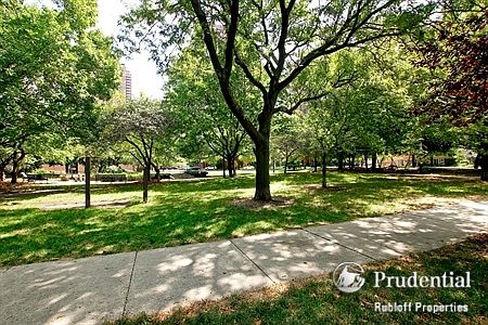 3rd image of 848 S Park Ter