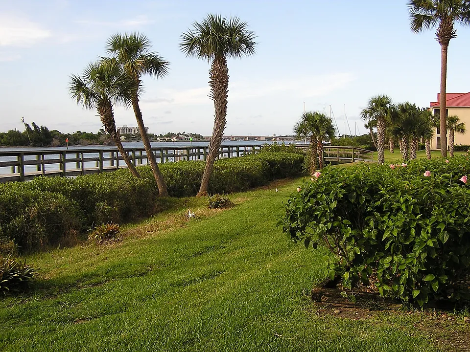 View from Patio
