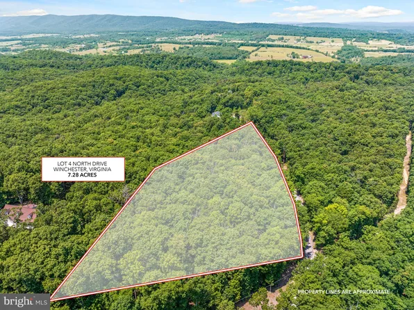 LOT 4 North Dr, Winchester, VA 22603