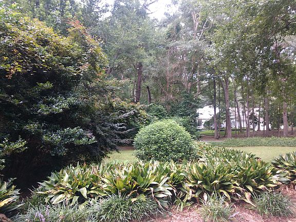 Side yard