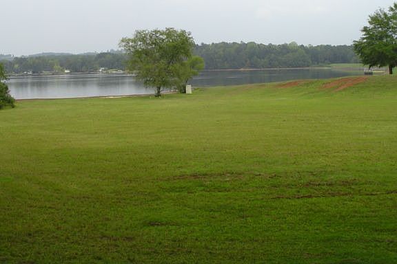 VIEW FROM BACKYARD