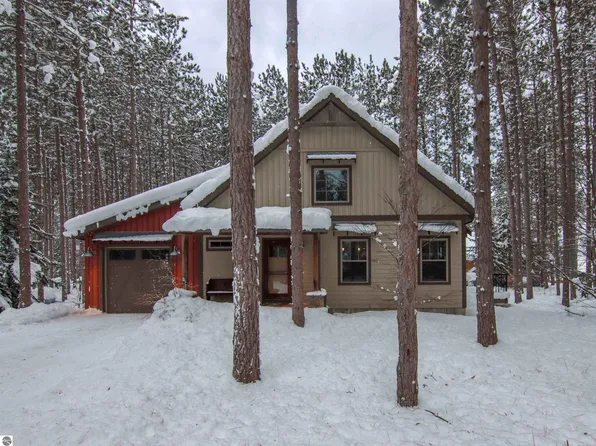 7938 Otsego Ct, Thompsonville, MI 49683