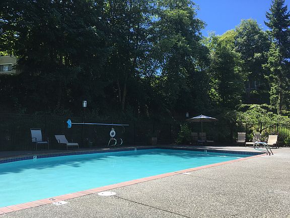 Beautiful pool