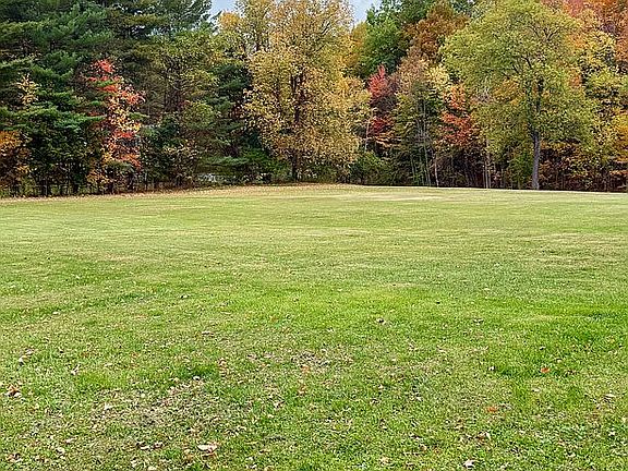 Back Yard - view 2