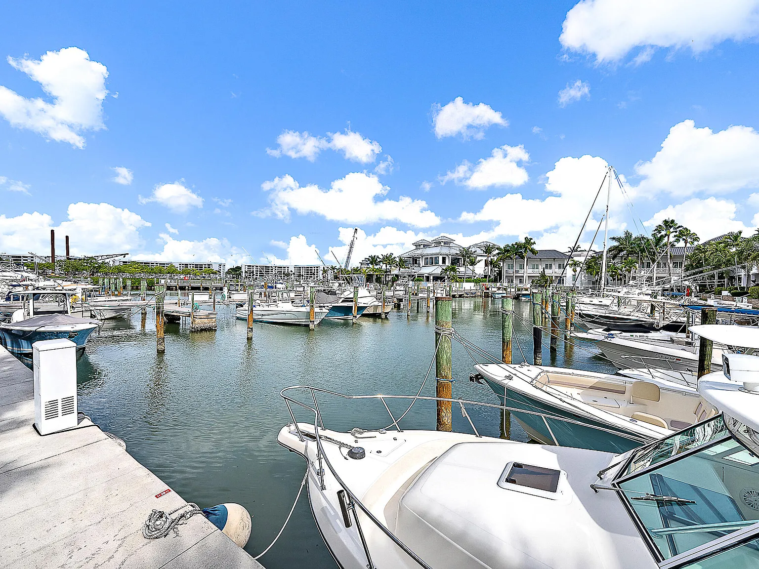 Bermuda — Photo 4