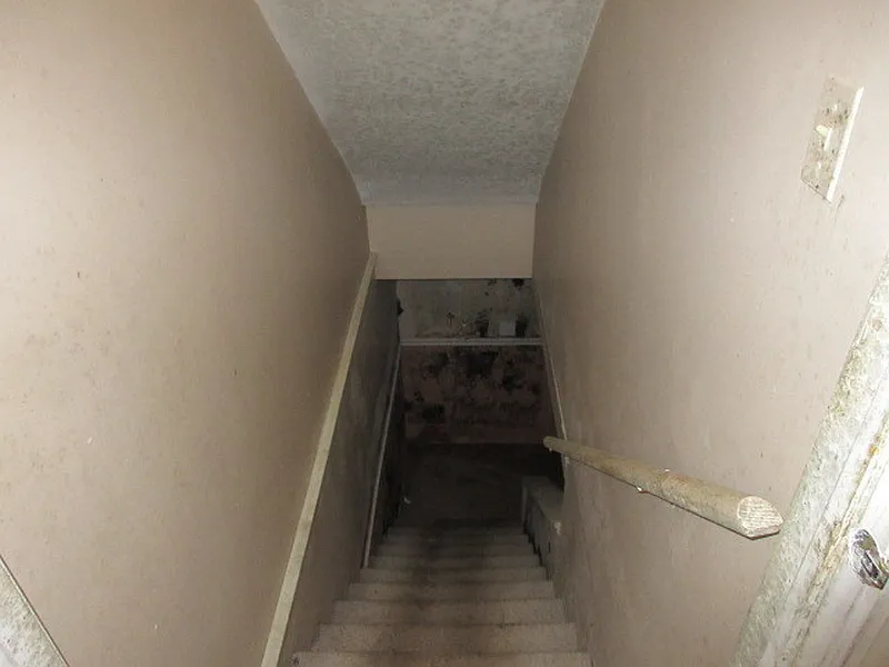 Thumbnail 15