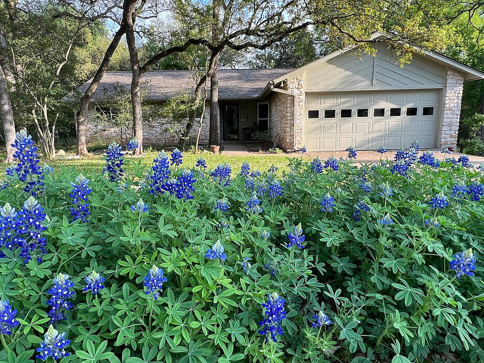 Guaranteed bluebonnets!