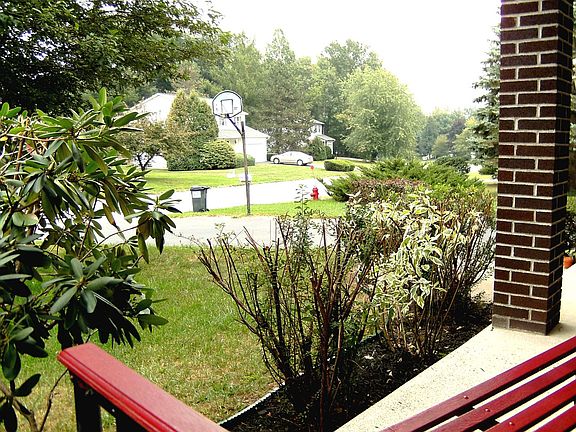 View from front porch 