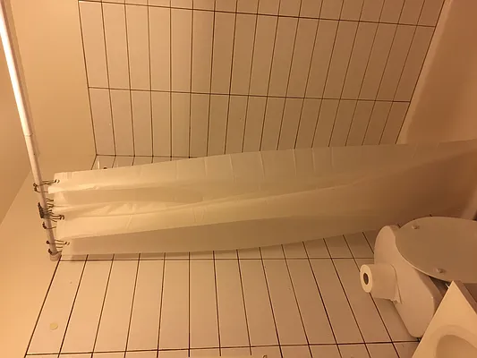 Rented by Sher Management | media 39