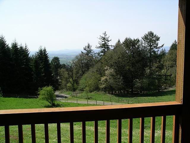 View From Front Porch