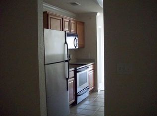 2420 Hillary Crest St APT 307, Wesley Chapel, FL 33544