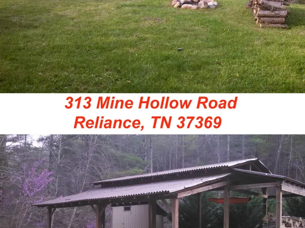 313 Mine Hollow Rd, Reliance, TN 37369