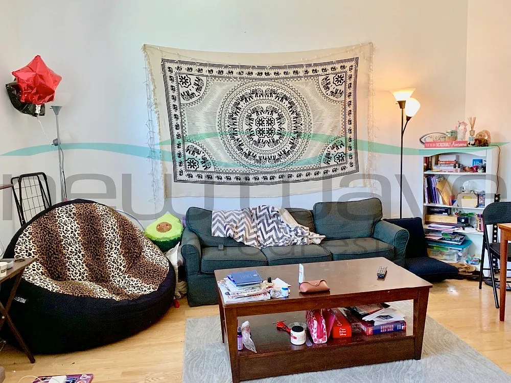 3 bed, 1200 sqft, $5,200 — Photo 2