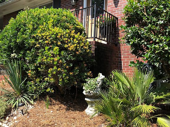 View from Bathroom Window