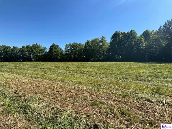 11309 Rhodelia Rd, Rhodelia, KY 40161