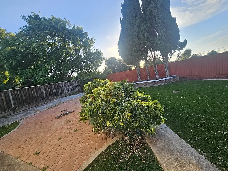 4649 Deadwood Dr — Photo 13