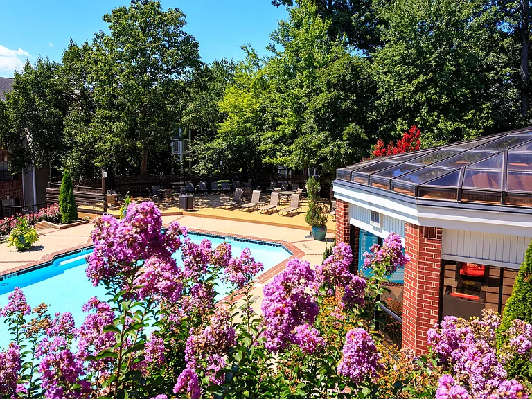 Two Swimming Pools with Newly Renovated Sundecks