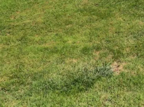 0 Hollywell Ave, Chambersburg, PA 17201