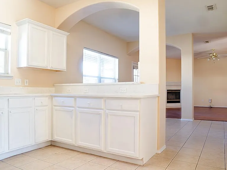 1102 Deedee Creek Dr — Photo 10