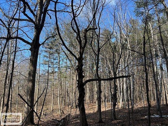 3rd image of 0 Burton Rd