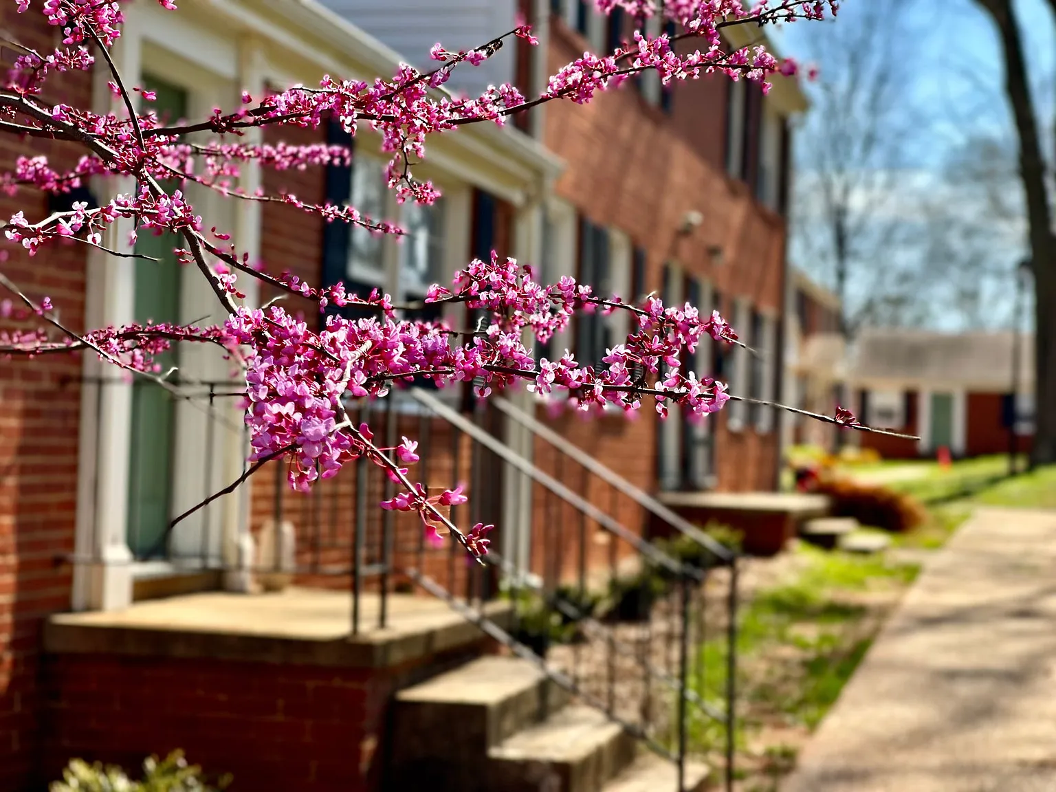 Latham Park Manor — Photo 2
