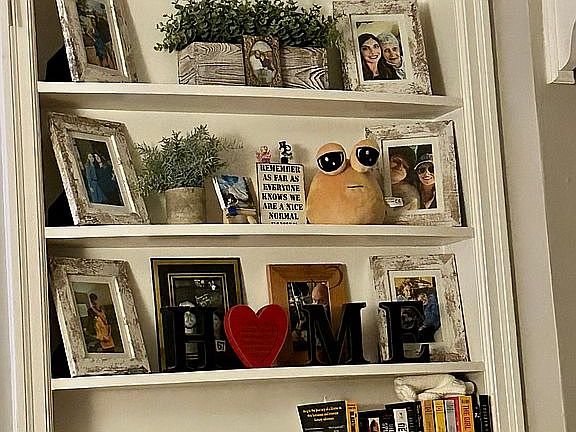 Built-in Bookcase LR 