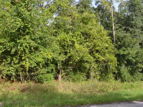 3678 N Eisenhower Ave #25, Hernando, FL 34442
