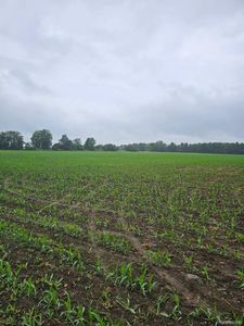 PARCEL Newark Rd #C, Attica, MI, 48412