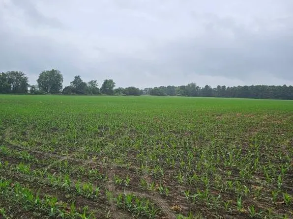 PARCEL Newark Rd #C, Attica, MI 48412