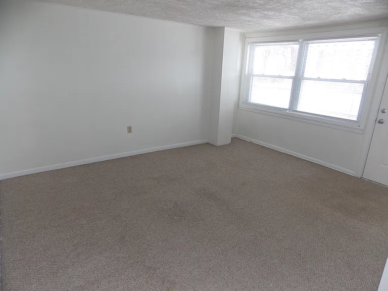 110 Saltarka Ln #3 — Photo 5
